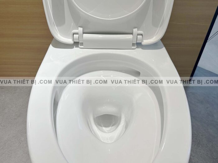 CS326DT10#XW - ảnh thực tế Bồn cầu 2 khối TOTO nắp êm TC395VS - vuathietbi.com