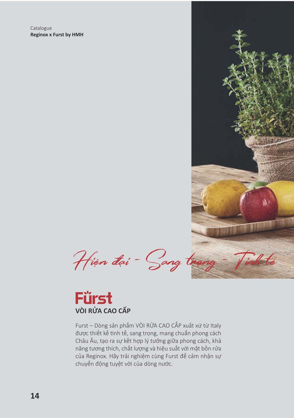 Catalogue REGINOX 2023 Bang gia Thiet bi bep nhap khau 14