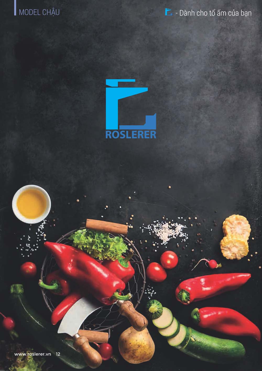 Catalogue ROSLERER 2024 Thiet bi nha bep 1