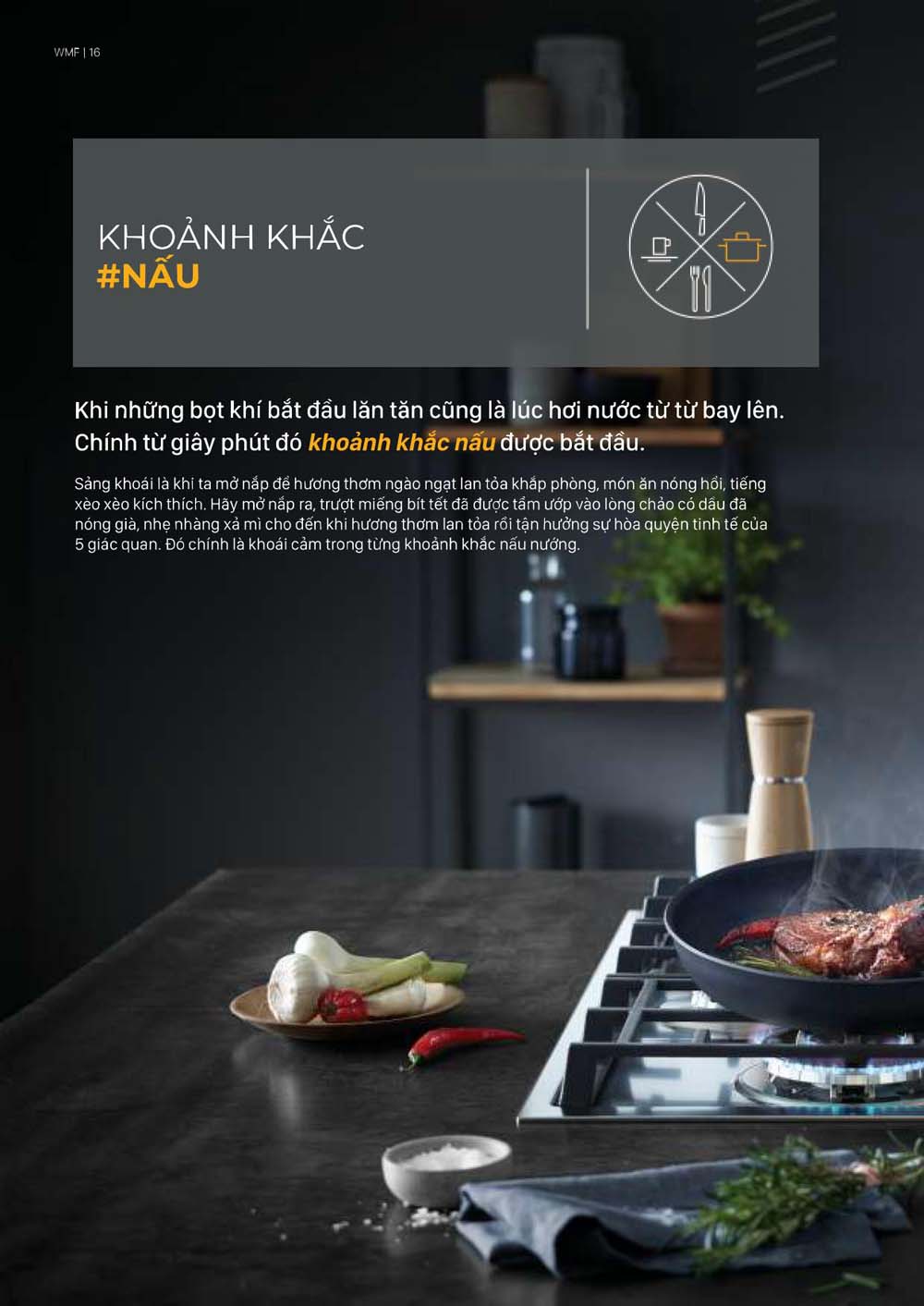 Catalogue Thiet bi nha bep WMF vuathietbi.com 16