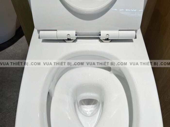 MS625DT8#XW - ẢNH THỰC TẾ Bồn cầu 1 khối TOTO nắp êm TC600VS - vuathietbi.com