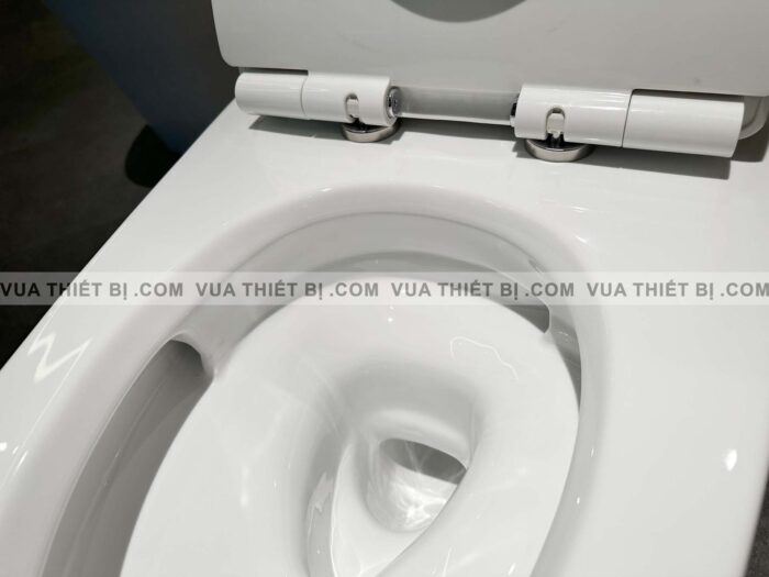 MS625DT8#XW - ẢNH THỰC TẾ Bồn cầu 1 khối TOTO nắp êm TC600VS - vuathietbi.com