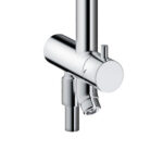 Vòi sen cây TOTO TBW07006A