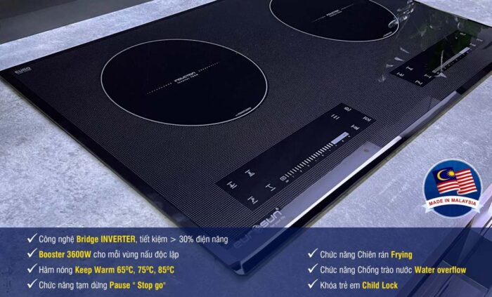 Bếp từ đôi EUROSUN EU-T210PRO (1)