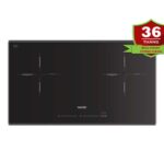 Bếp từ đôi FASTER FS 2502 IPLUS