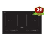 Bếp từ đôi FASTER FS 939 GI