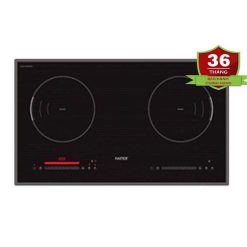 Bếp từ đôi FASTER FS 999IN New