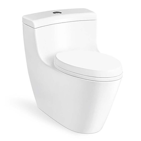 Bồn cầu 1 khối D&K DK-C2389L 1