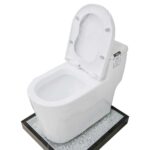 Bồn cầu 1 khối D&K DK-C2393 1