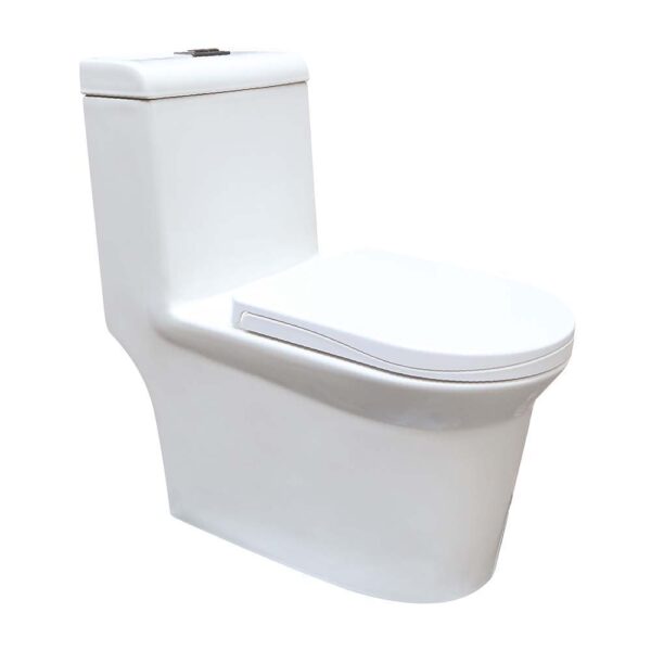 Bồn cầu 1 khối D&K DK-C2405 1