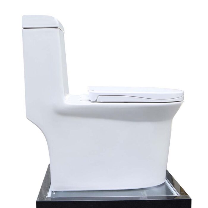 Bồn cầu 1 khối D&K DK-C2405 1