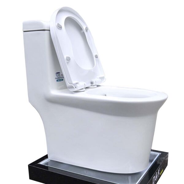 Bồn cầu 1 khối D&K DK-C2405 1