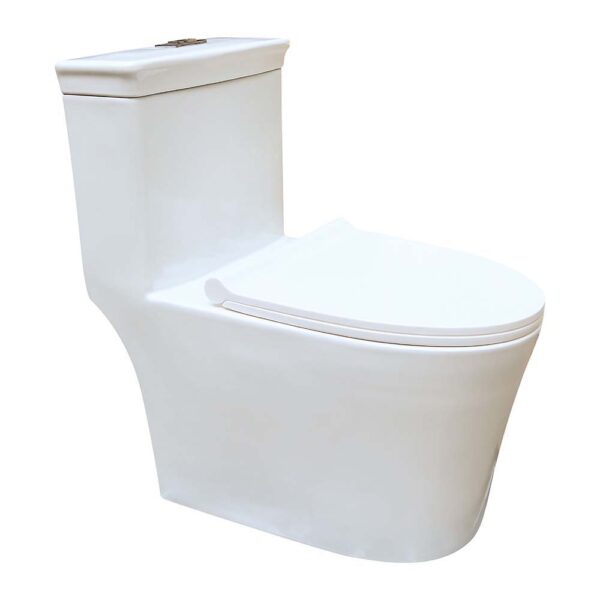 Bồn cầu 1 khối D&K DK-C2406 1