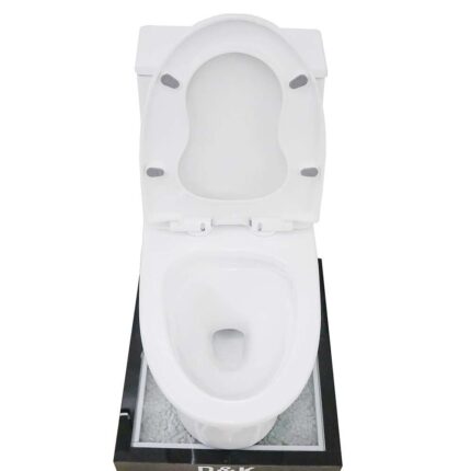 Bồn cầu 1 khối D&K DK-C2409 2