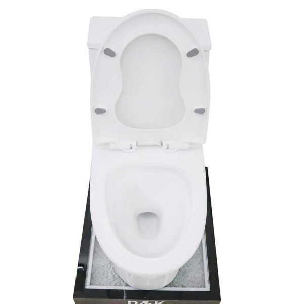 Bồn cầu 1 khối D&K DK-C2409 2