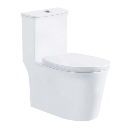 Bồn cầu 1 khối D&K DK-C2412L 1