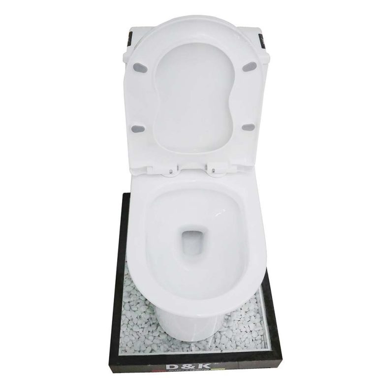 Bồn cầu 1 khối D&K DK-C2419 1