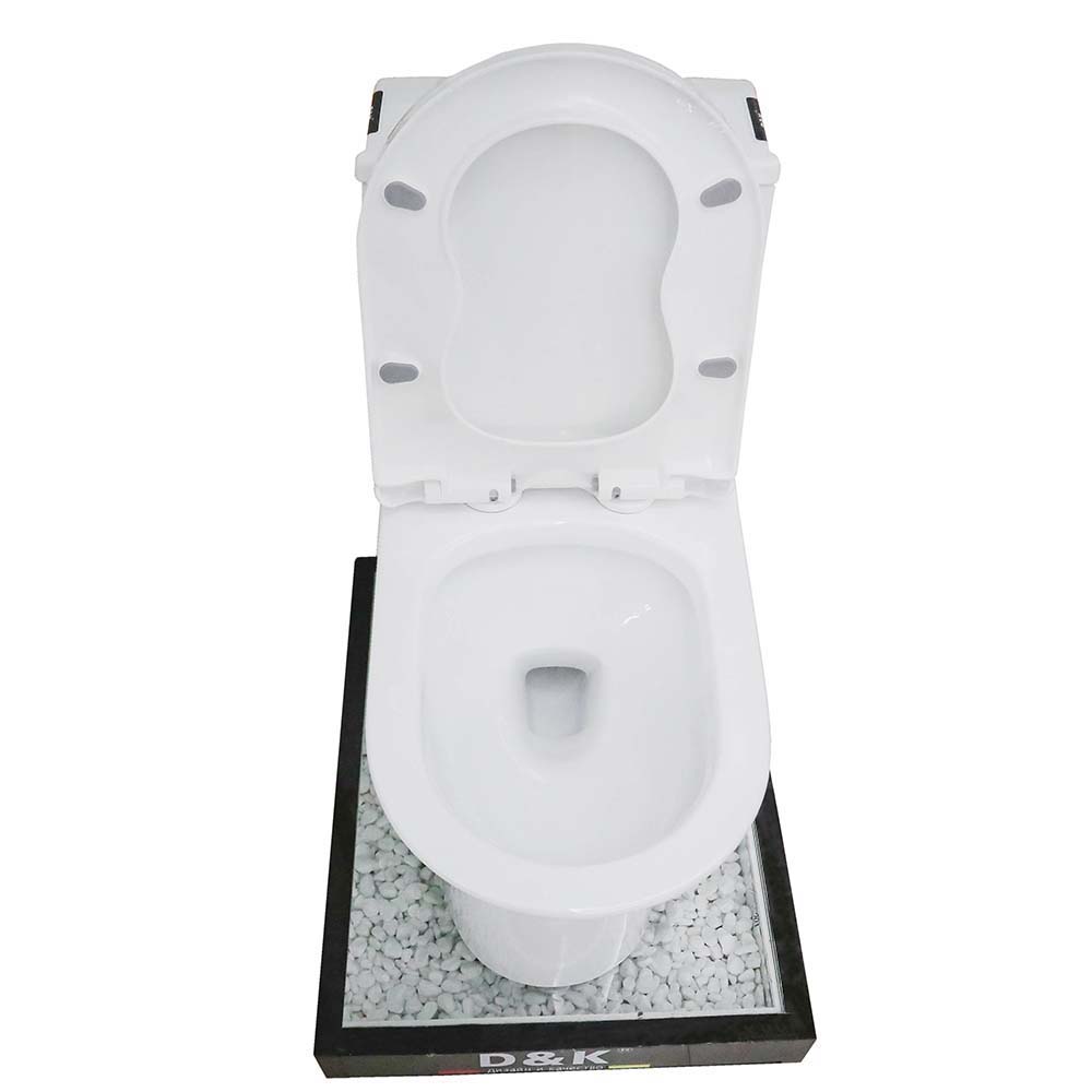 Bồn cầu 1 khối D&K DK-C2419 1