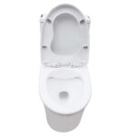 Bồn cầu 1 khối D&K DK-C2419 1