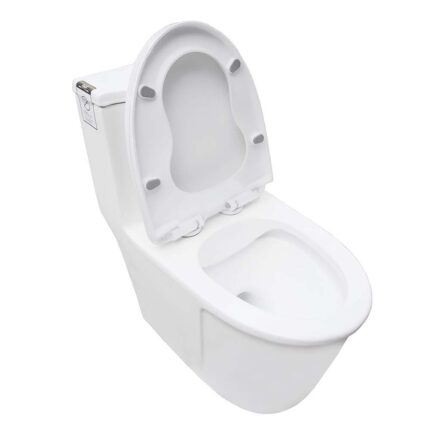 Bồn cầu 1 khối D&K DK-C2419 1