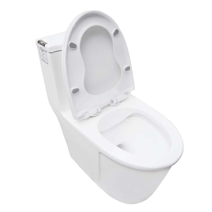 Bồn cầu 1 khối D&K DK-C2419 1