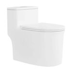 Bồn cầu 1 khối D&K DK-C2424 1