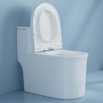 Bồn cầu 1 khối D&K DK-C2424 1