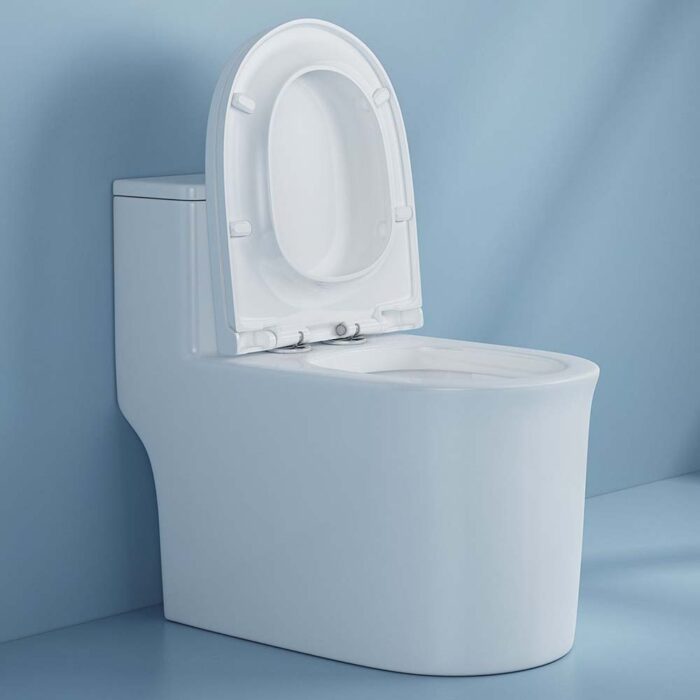 Bồn cầu 1 khối D&K DK-C2424 1