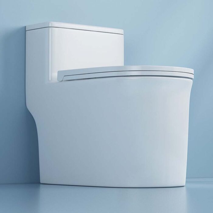 Bồn cầu 1 khối D&K DK-C2424 1