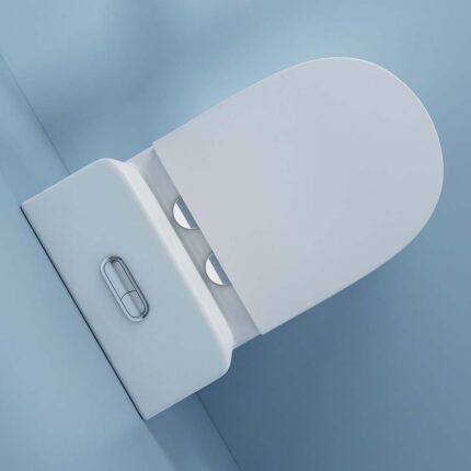 Bồn cầu 1 khối D&K DK-C2424 1