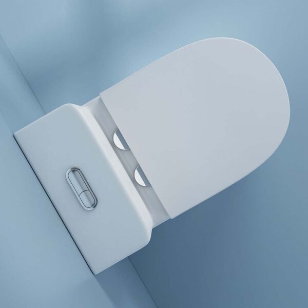 Bồn cầu 1 khối D&K DK-C2424 1