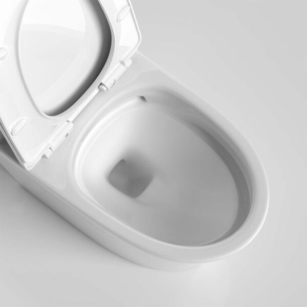 Bồn cầu 1 khối D&K dk-C2425 1