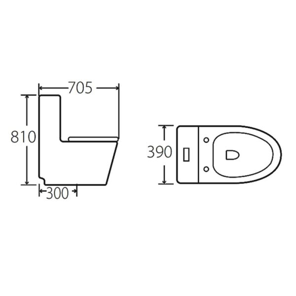 Bồn cầu 1 khối HUGE H-BC226 2
