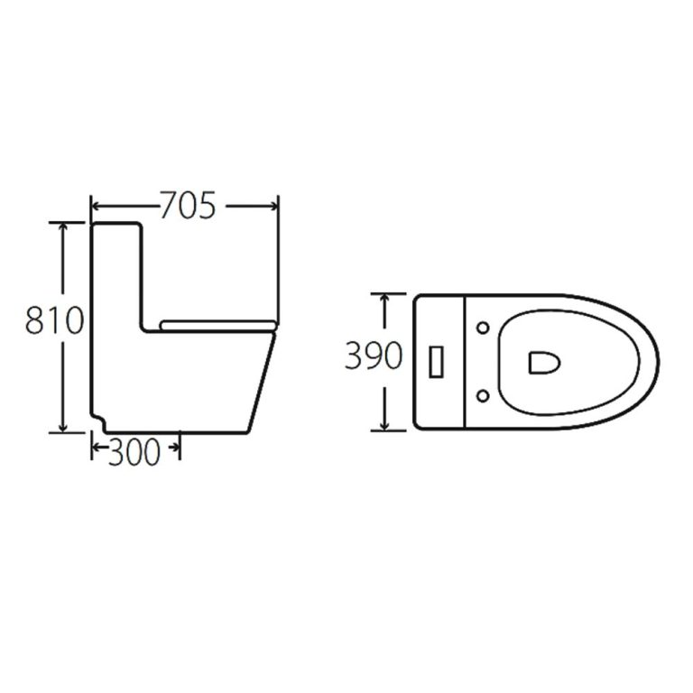 Bồn cầu 1 khối HUGE H-BC226 2