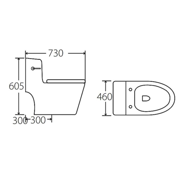 Bồn cầu 1 khối HUGE H-BC229