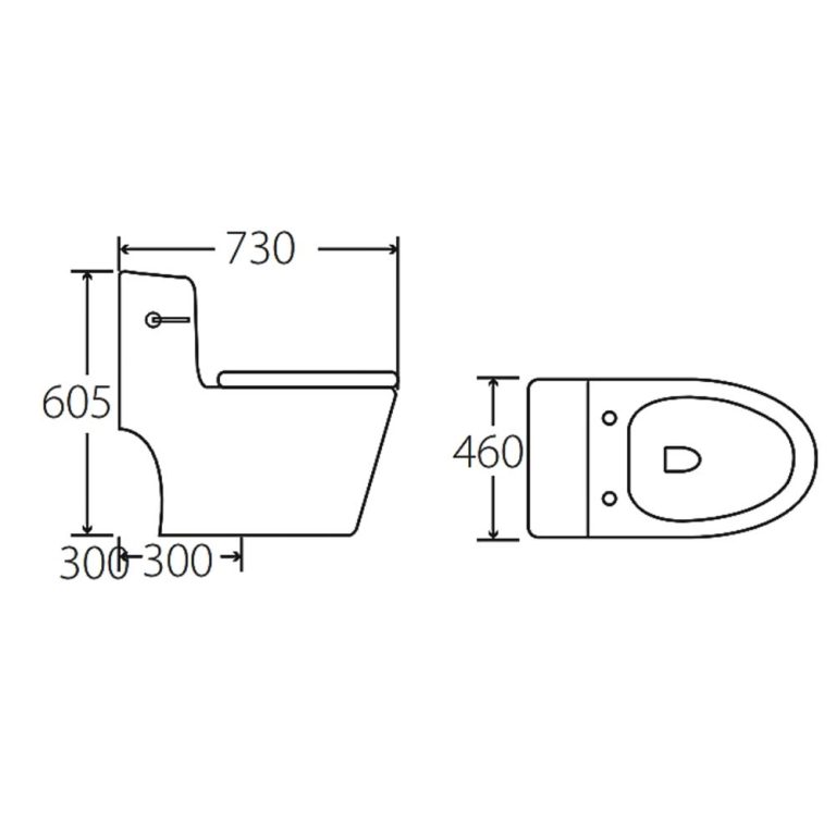 Bồn cầu 1 khối HUGE H-BC229
