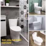 Bồn cầu 2 khối CAESAR CD1320 nắp êm M221 - Ảnh 2