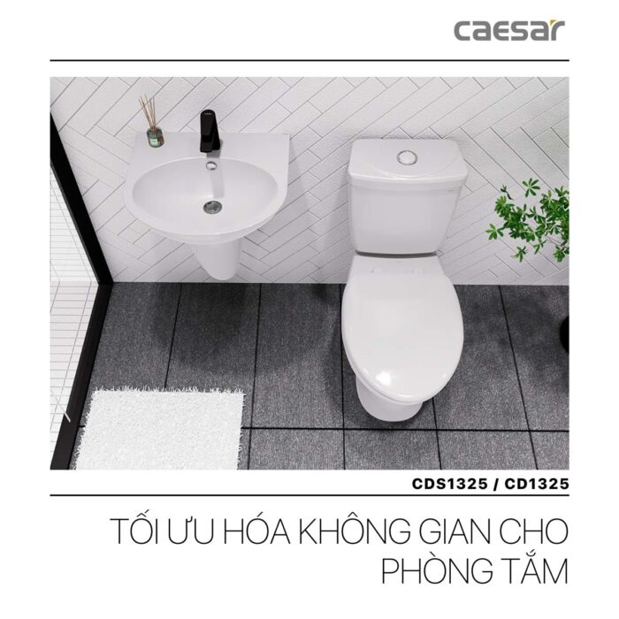 Bồn cầu 2 khối CAESAR CDS1325 nắp êm MS220 - Ảnh 8