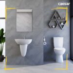 Bồn cầu 2 khối CAESAR CDS1325 nắp êm MS220 - Ảnh 10