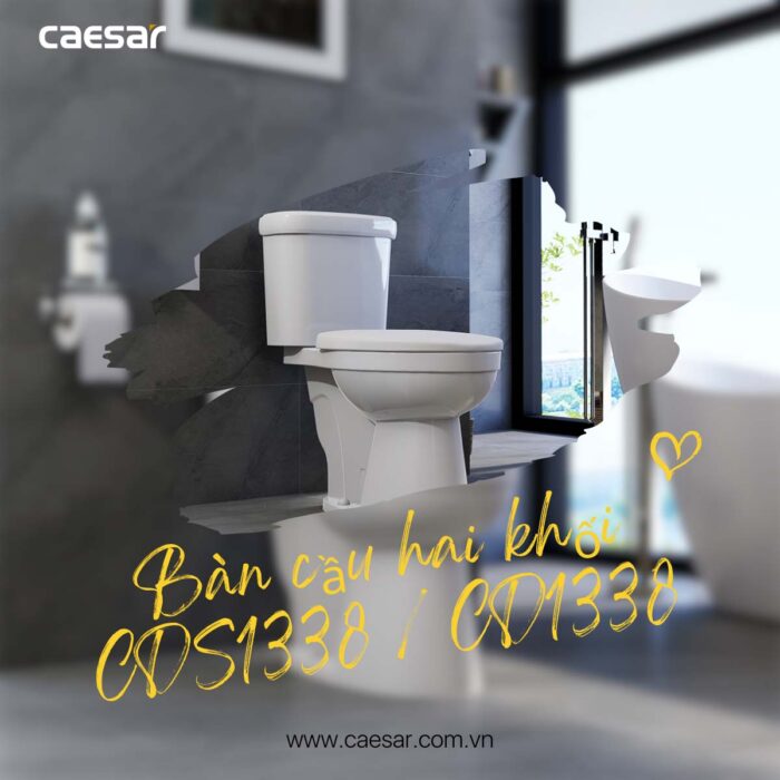 Bồn cầu 2 khối CAESAR CDS1338 nắp êm MS220 - Ảnh 9