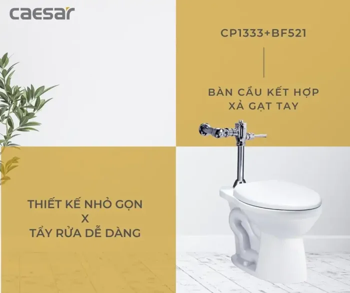 Bồn cầu 2 khối CAESAR CP1333 BF521 xả gạt tay nắp thường M220 - Ảnh 5
