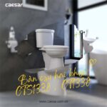 Bồn cầu 2 khối CAESAR CTS1338 nắp êm MS220 - Ảnh 10
