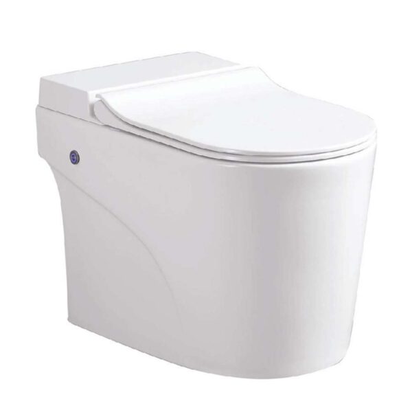 Bồn cầu THÔNG MINH HUGE H-BS2088