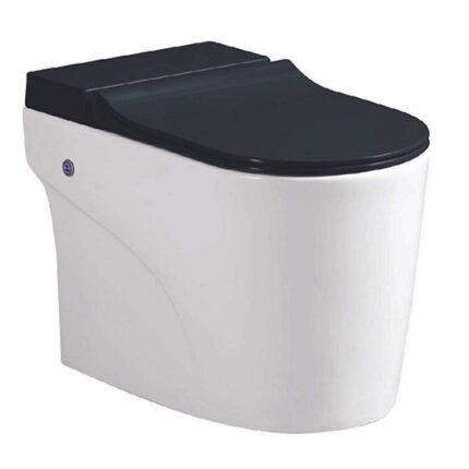 Bồn cầu THÔNG MINH HUGE H-BS2088B