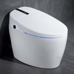 Bồn cầu THÔNG MINH HUGE H-BS2266 Eco 1