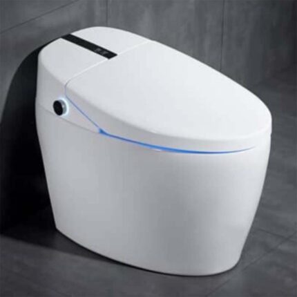 Bồn cầu THÔNG MINH HUGE H-BS2266 Eco 1