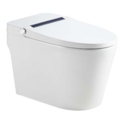 Bồn cầu THÔNG MINH HUGE H-BS2268G 1