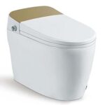 Bồn cầu thông minh D&K AC1216 Gold 1