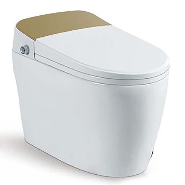 Bồn cầu thông minh D&K AC1216 Gold 1