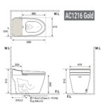 Bồn cầu thông minh D&K AC1216 Gold 2